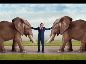 elefante acaban con la vida de unos turistas