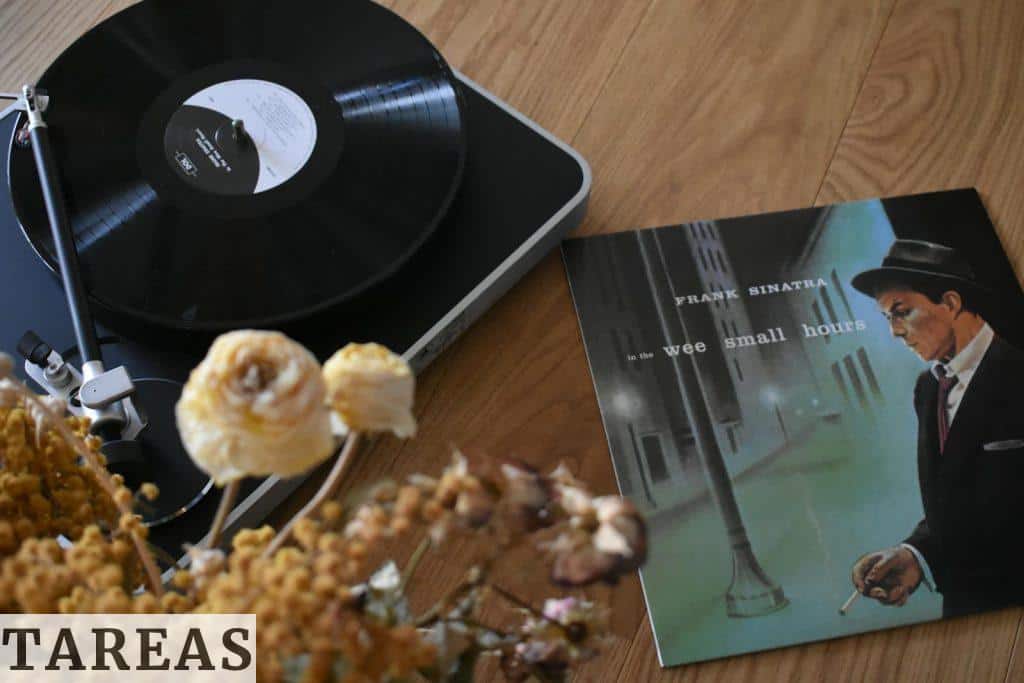A Vinyl Record of Frank Sinatra