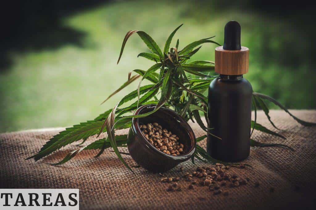 tiendas de CBD en Portugal