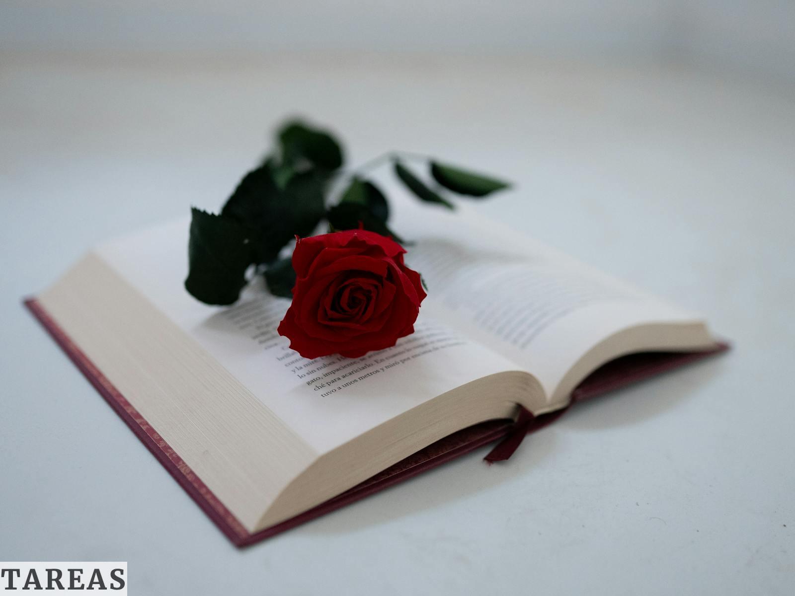 Sant Jordi