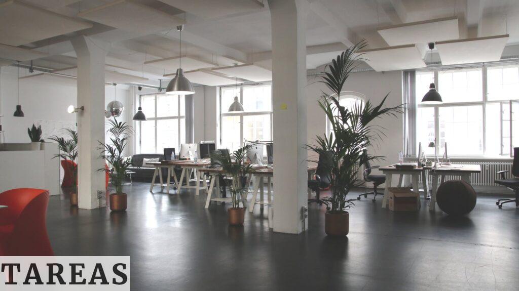office