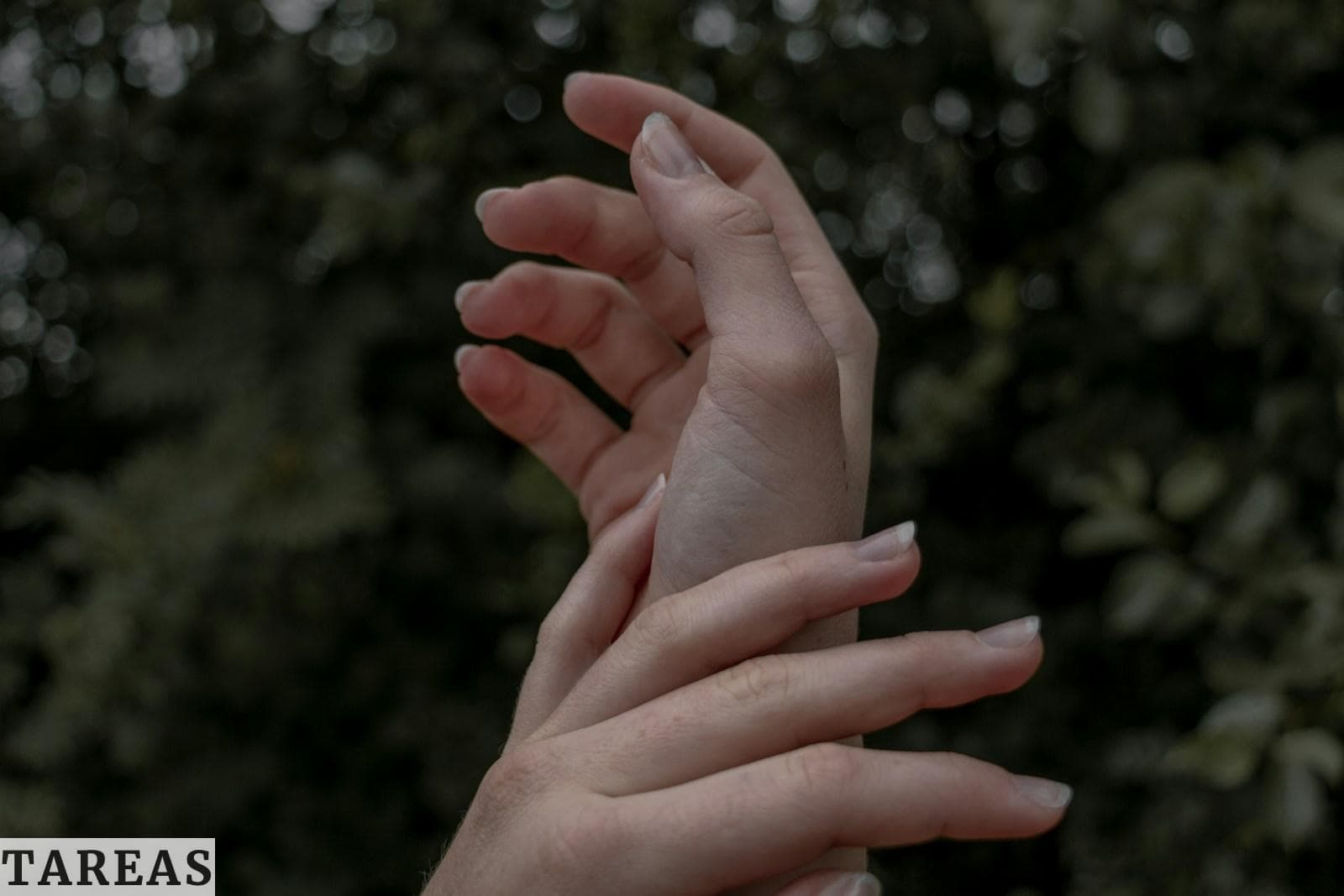 nails