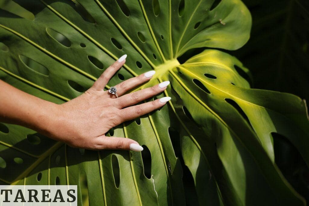 nails