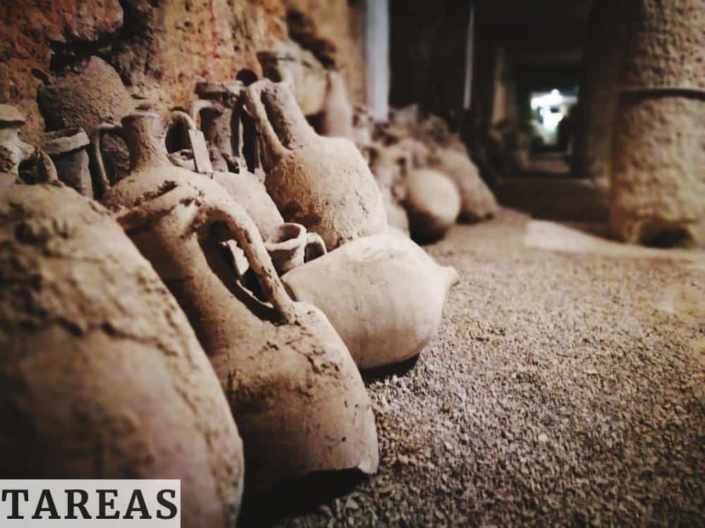 Yacimiento arqueologico